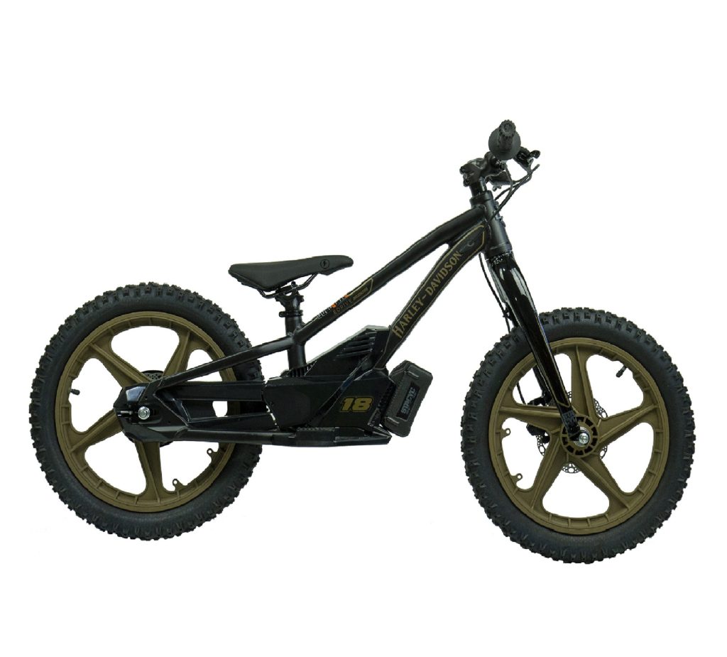 harley davidson ebike