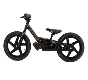 Electric Balance Bike1